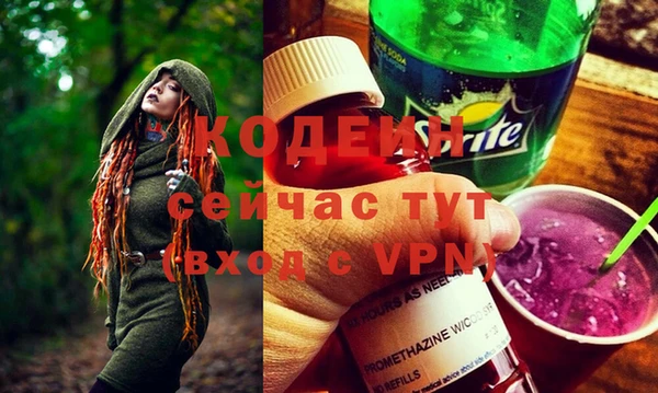 дурь Бородино
