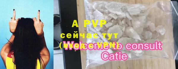 дурь Бородино