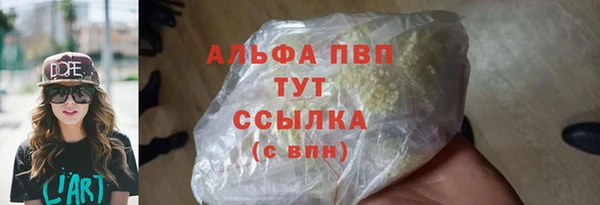 дурь Бородино