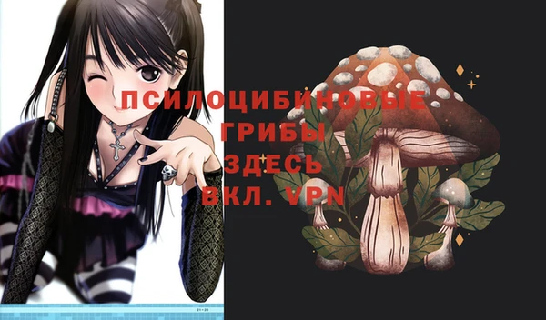mdpv Бугульма