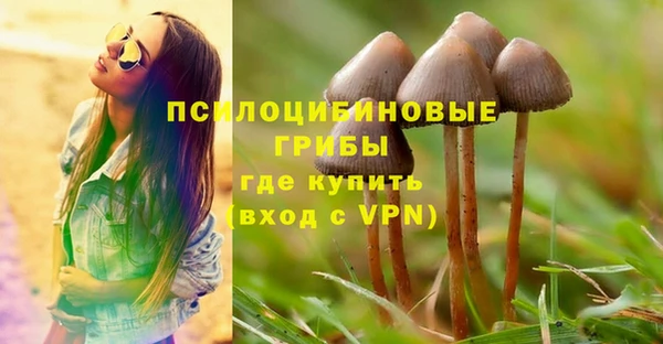 дурь Бородино