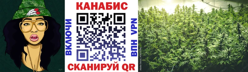 Бошки Шишки MAZAR  Грозный 